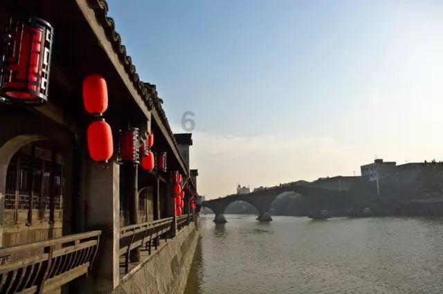 动物帮帮忙保卫家园